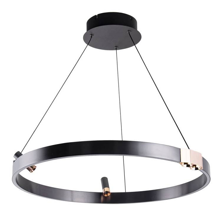 Подвесной светодиодный светильник Arte Lamp Cesare A1993SP-30BK