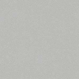 Линолеум Tarkett Acczent Pro (Акцент Про) Aspect (Аспект) 2 (рулон: 3x20=60 м2)