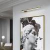 Подсветка для картин светодиодная Elektrostandard Acento 40155/LED 3000K латунь фото 3