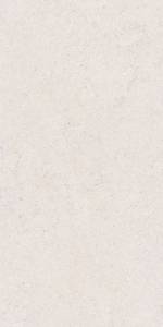 Керамогранит TAU Ceramica Calcare White 60x120