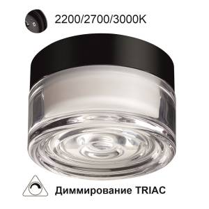 Уличный потолочный светодиодный светильник Odeon Light Ronda 7156/6CL