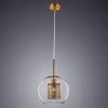 Подвесной светильник Arte Lamp Manchester A7630SP-1AB фото 2