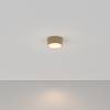 Потолочный светильник Technical Ceiling C032CL-L12MG3K фото 2