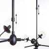 Подвесная люстра Arte Lamp A1664SP-12BK фото 4