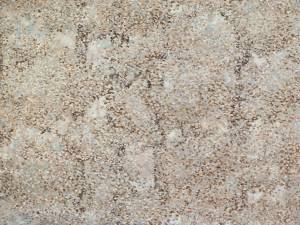 Обои Elysium Альвери Е800505