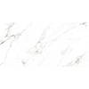 Керамогранит Ocean ceramic Statuario Castork Glossy 120x278