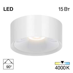 Накладной светильник Citilux Ровер CL743150N