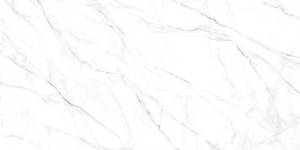 Керамогранит Alma Ceramica Neo Calacatta GFU60120NCL07R 60x120