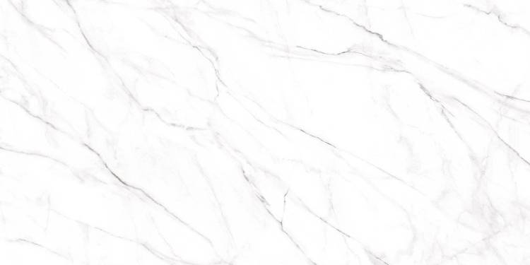 Керамогранит Alma Ceramica Neo Calacatta GFU60120NCL07R 60x120