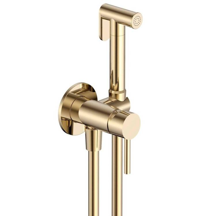 Гигиенический душ AQUAme Siena AQM6217BG золото шлифованное, встраиваемый, с лейкой