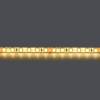 Светодиодная влагозащищенная лента Lightstar 420553 фото 2