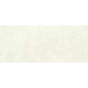 Керамическая плитка Atlas Concorde Boost Expression AYR5 Glow Matte 50x120