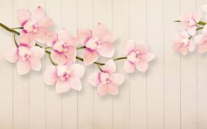 3D Фотообои Artegrafico «Ваниль» FW-001 акварель