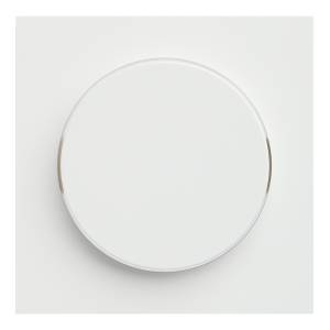 Лицевая панель для диммера Rikett 35721 MW белый сатин