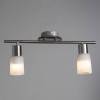Спот Arte Lamp A4510PL-2SS фото 3