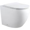 Унитаз приставной Aquanet Cetus 2.0 F безободковый, с крышкой-сиденьем микролифт