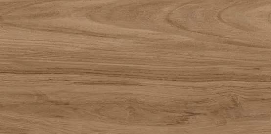 Керамогранит Lasselsberger Ceramics Шварц 6260-0196 натуральный 30х60
