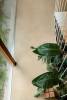 Керамогранит Casa Dolce Casa Sensi Terre 787117 Amaranto Brick Matte 5.7x23.2 фото 45