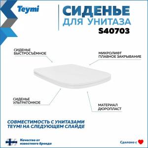 Сиденье для унитаза Teymi S40703 быстросъемное, с микролифтом