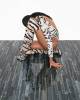 Керамогранит Roberto Cavalli The Wild Spirit 502016 Tiger Blue Lux RT 59.6x119.2 фото 18