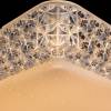 Потолочный светодиодный светильник Arte Lamp Celeste A1571PL-1CL фото 4