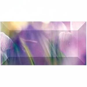 Бордюр Laparet Crocus br1020D286-2 10x20