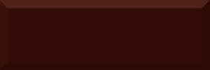 Керамическая плитка Absolut Keramika Monocolor Biselado Brillo Marron 10x30