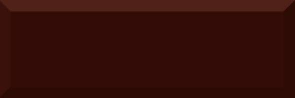 Керамическая плитка Absolut Keramika Monocolor Biselado Brillo Marron 10x30