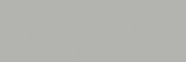 Керамогранит TAU Ceramica Tornares Hiru Silver Rec 16.3x51.7