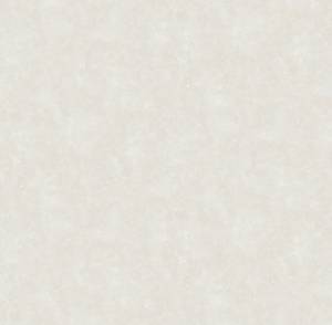 Обои Victoria Stenova Terro (Терро) 581651