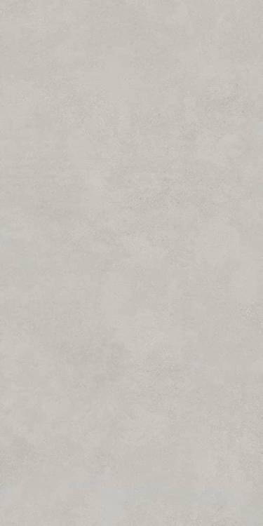 Керамогранит Lasselsberger Ceramics Иней 6493-0138 темно-серый 60х120