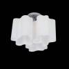Потолочная люстра Lightstar Nubi 802030 фото 2