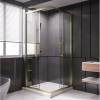 Часть душевого уголка Veconi Premium Trento PTC20-GR-80-01-C4 800x2000