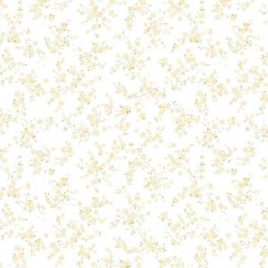 Обои Andrea Rossi Bocca 54489-1