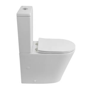 Чаша для унитаза-компакта BelBagno Flay-r BB2149CPR/SC