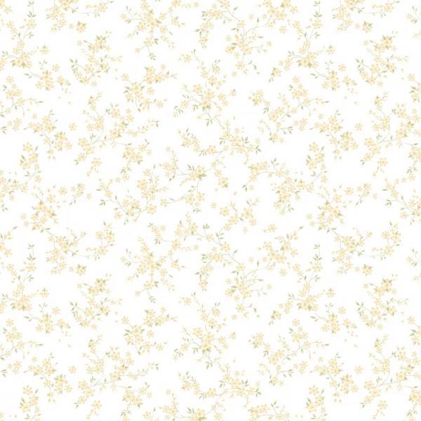 Обои Andrea Rossi Bocca 54489-1