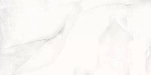 Керамогранит A-Ceramica Floria Onyx Silver Polished 60x120