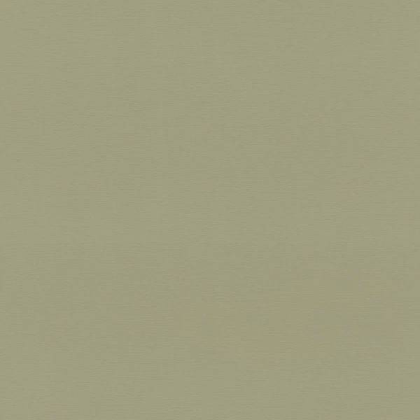 Обои Rasch Selection Vinyl/Vlies 692709