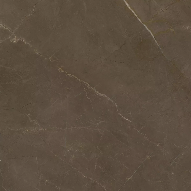 Керамогранит Kerranova Marble Trend K-1002/LR Коричневый 600x600x10