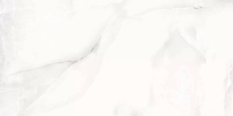 Керамогранит A-Ceramica Floria Onyx Silver Polished 60x120