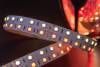 Светодиодная лента SWG 28,8W/m 120LED/m 5050SMD RGB/ теплый белый 5M 901044 фото 6