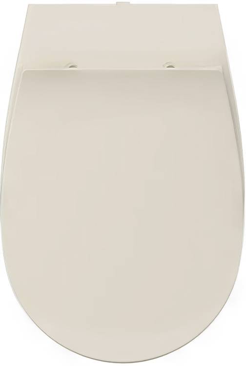 Крышка-сиденье Isvea Sentimenti Neo 40D80532I-S с микролифтом, слоновая кость матовый