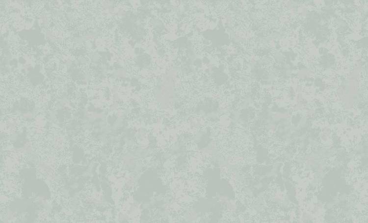 Обои флизелиновые Erismann Tessa 60330-06