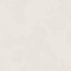 Керамогранит Italon Форум 610010004196 Слим Полар Рет 120x120