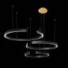 Подвесной светодиодный светильник Loft IT Ring 10025/3 Black фото 4