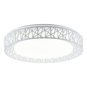 Потолочный светодиодный светильник Toplight Diana TL1204X-72WH