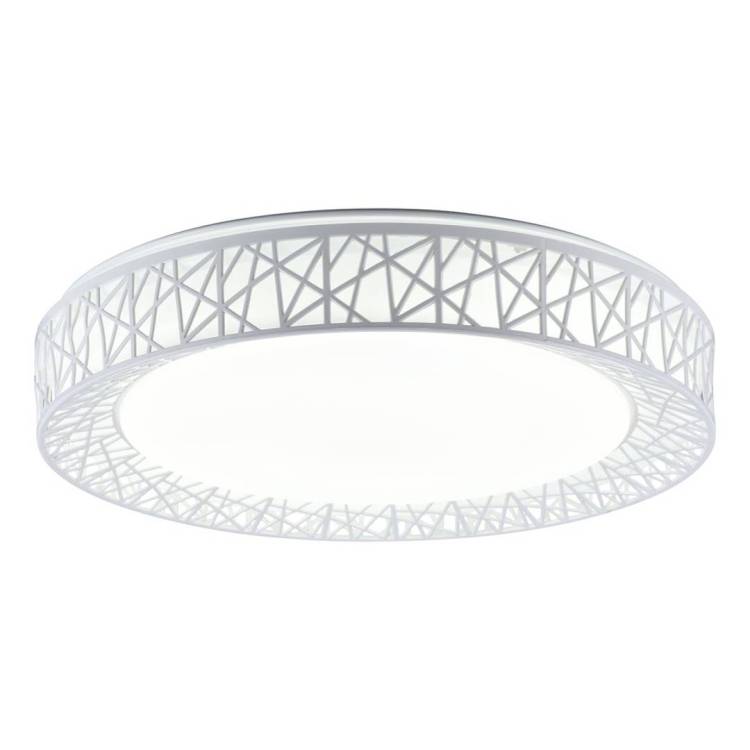 Потолочный светодиодный светильник Toplight Diana TL1204X-72WH