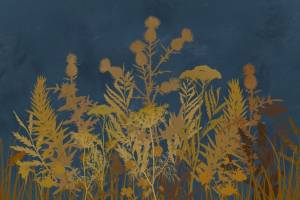 3D Фотообои Artegrafico «Полевые растения ночью» HRB-023 канвас