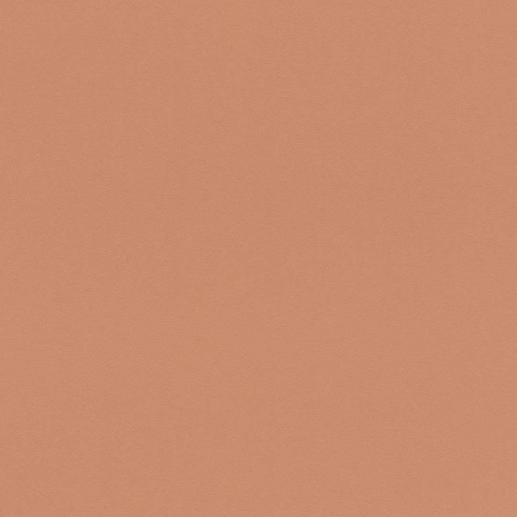Обои флизелиновые Rasch Salsa 807608