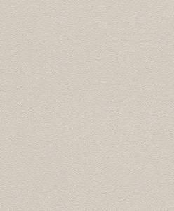 Обои Rasch Kids and Teens 469004